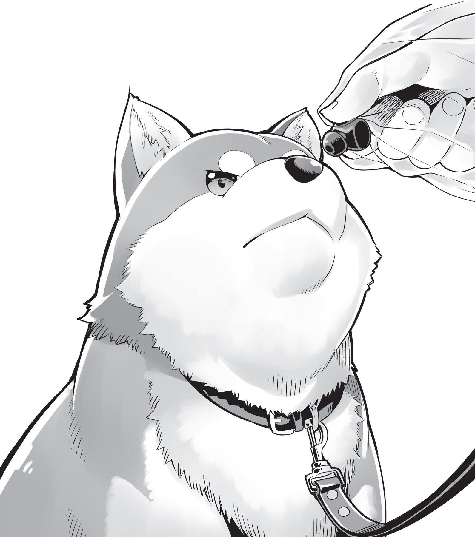 3. The Jewel Thief and the Little Lost and Found - 17