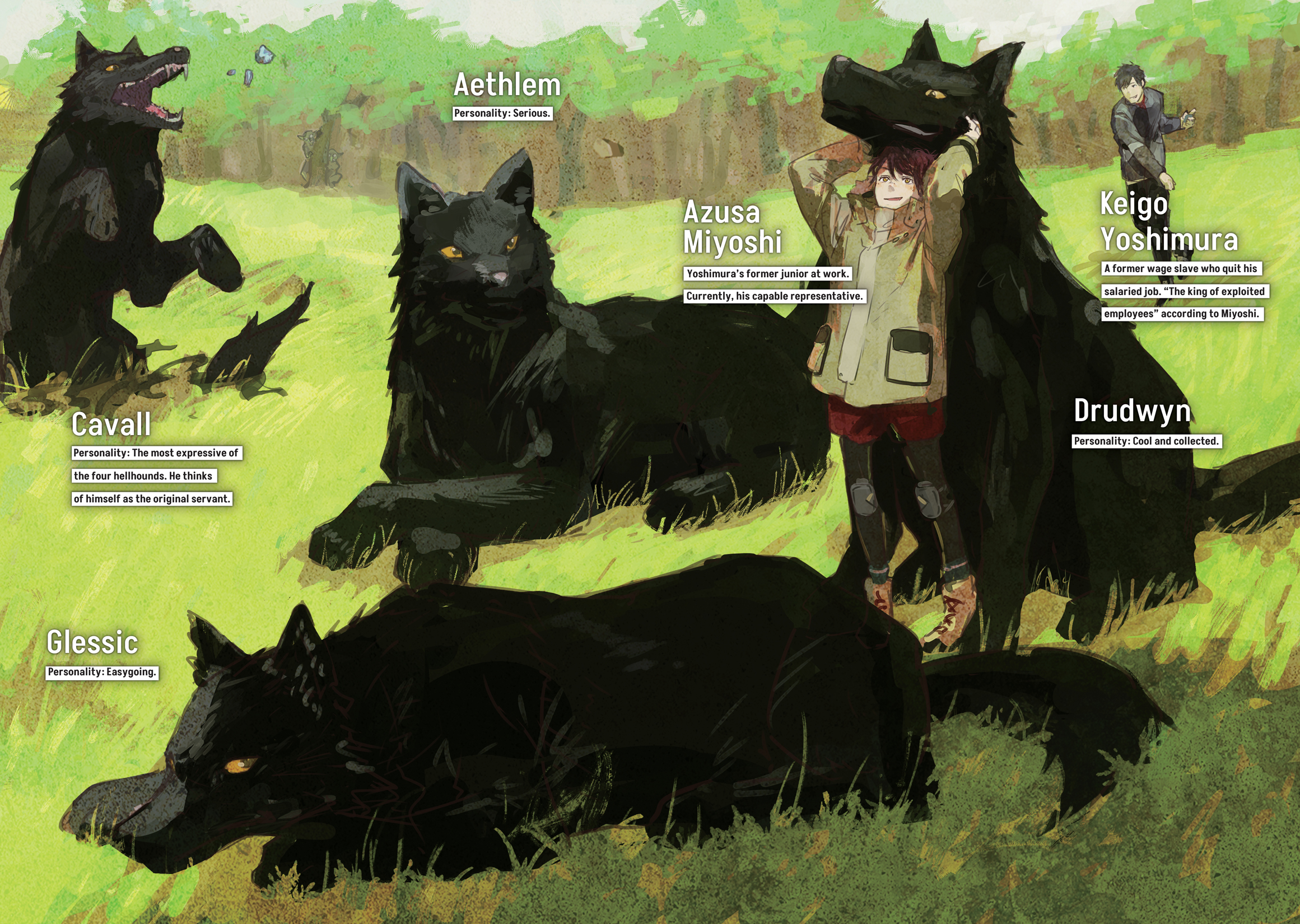 Color Illustrations - 15