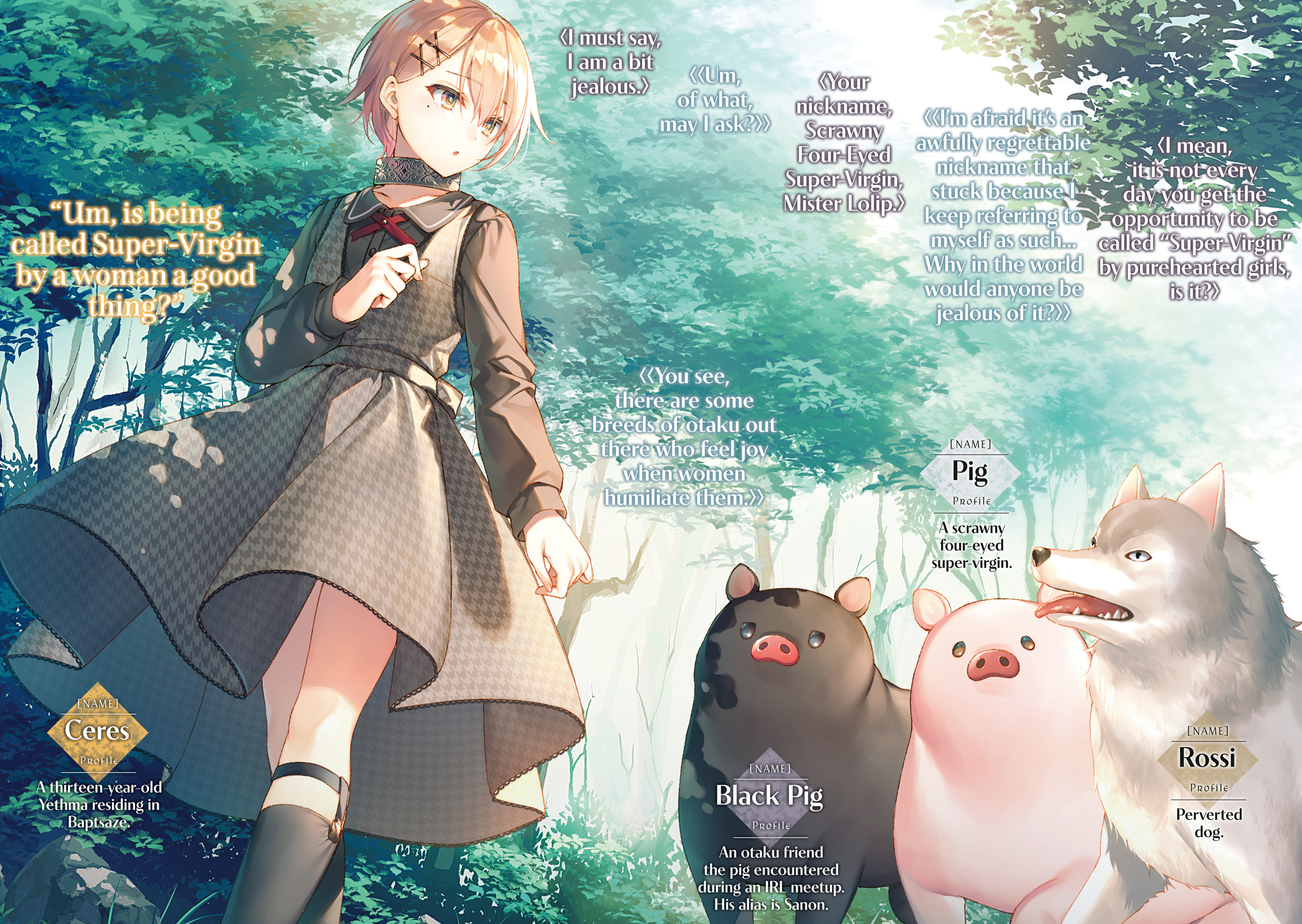 Color Illustrations - 18