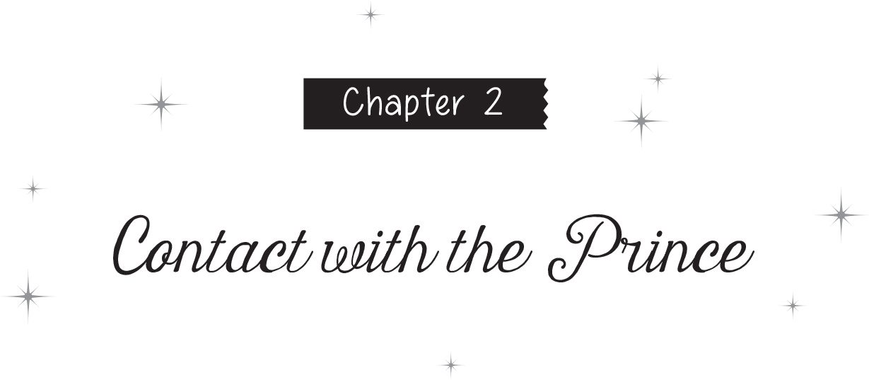 Chapter 2: Contact with the Prince - 11