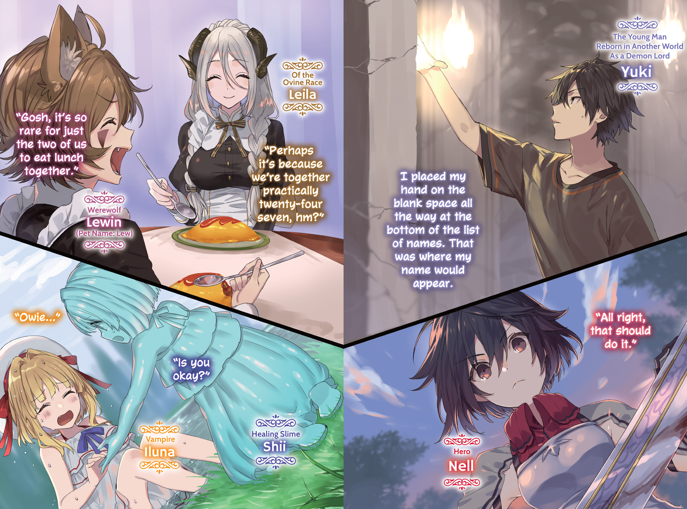 Color Illustrations - 12