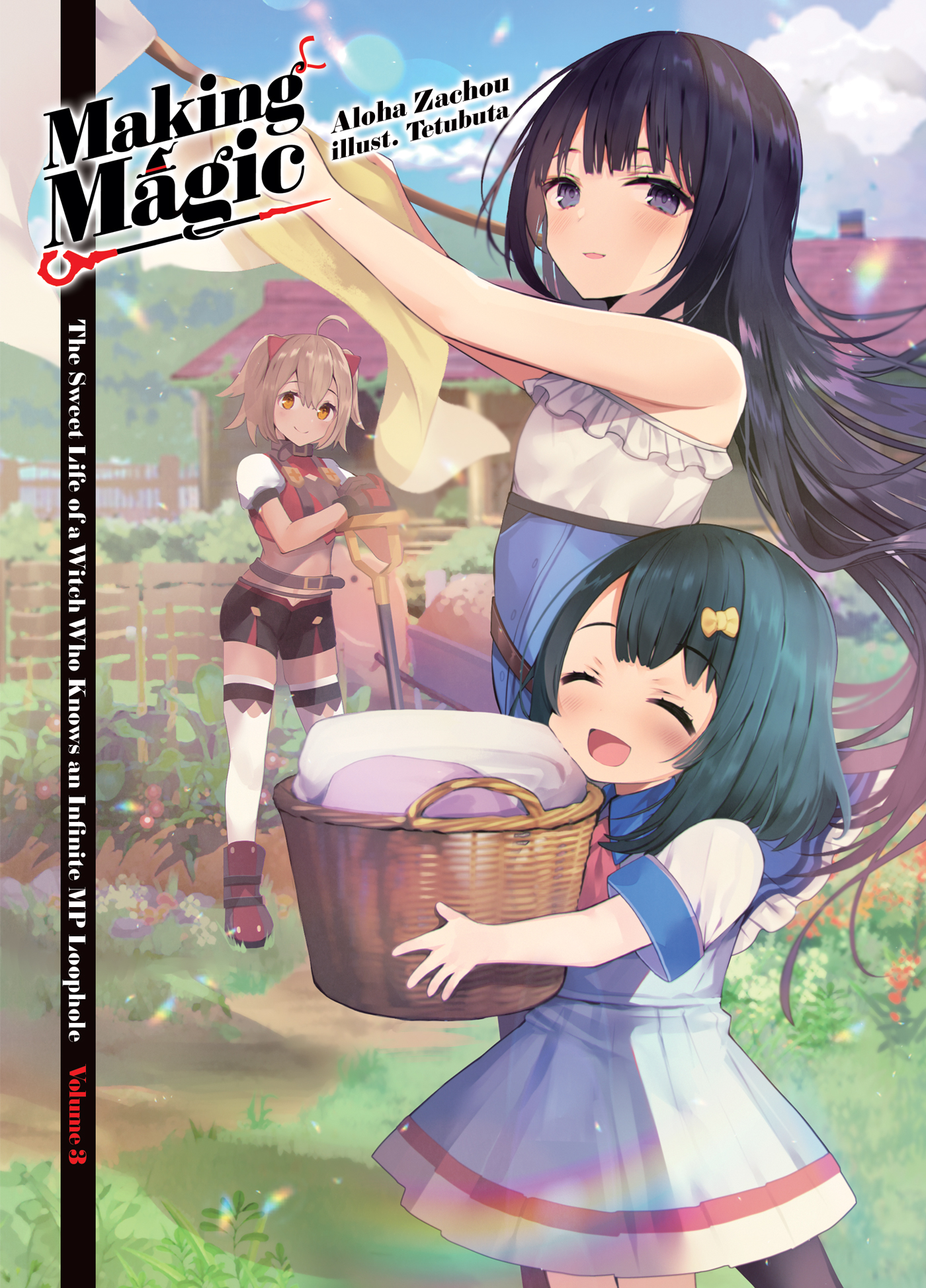 Color Illustrations - 13