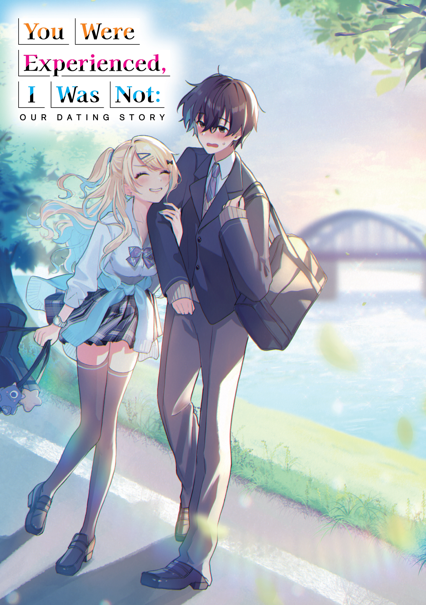 Color Illustrations - 12