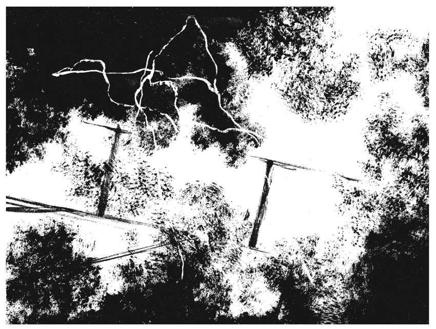 Image - 21