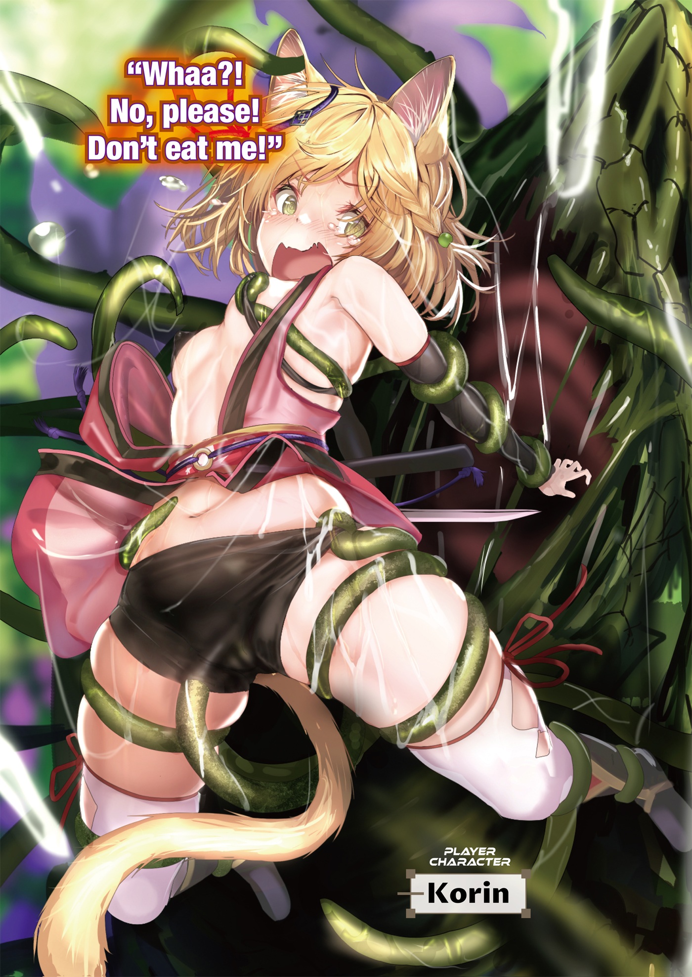 Color Illustrations - 11