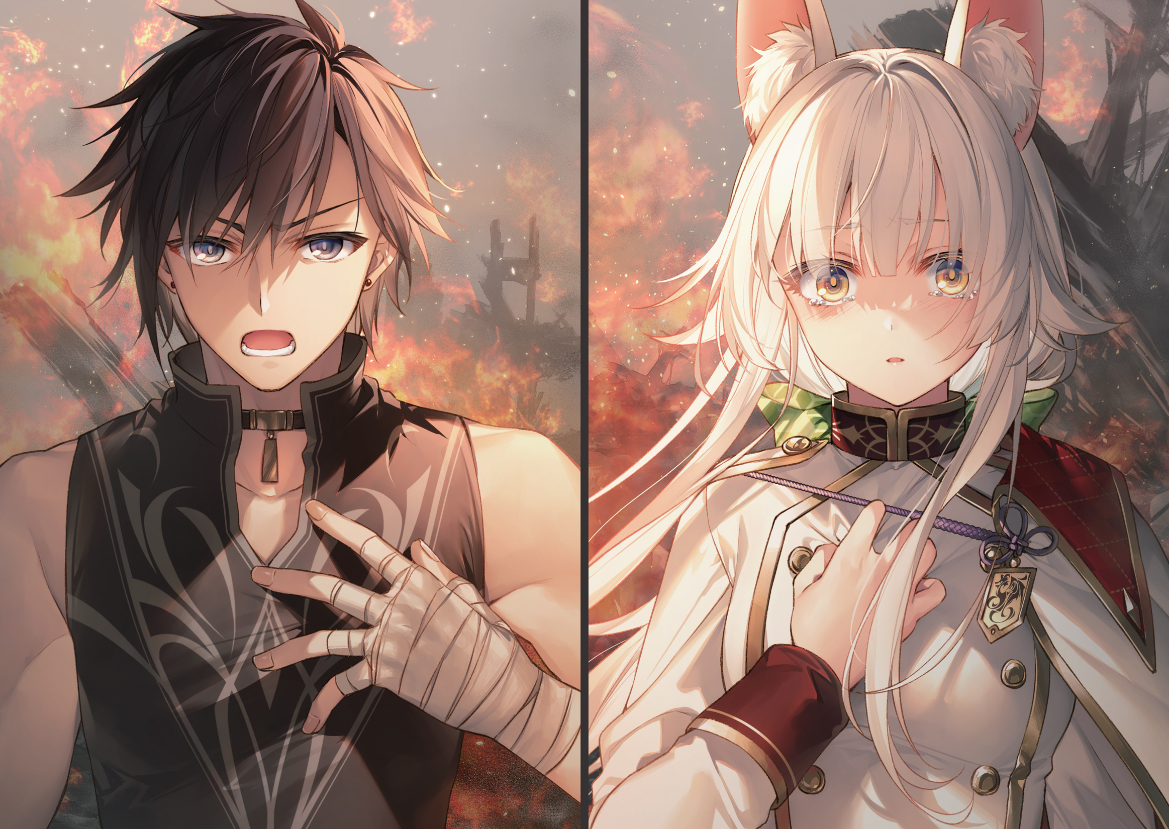 Color Illustrations - 14