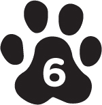 5. Treasure Hunt - 24