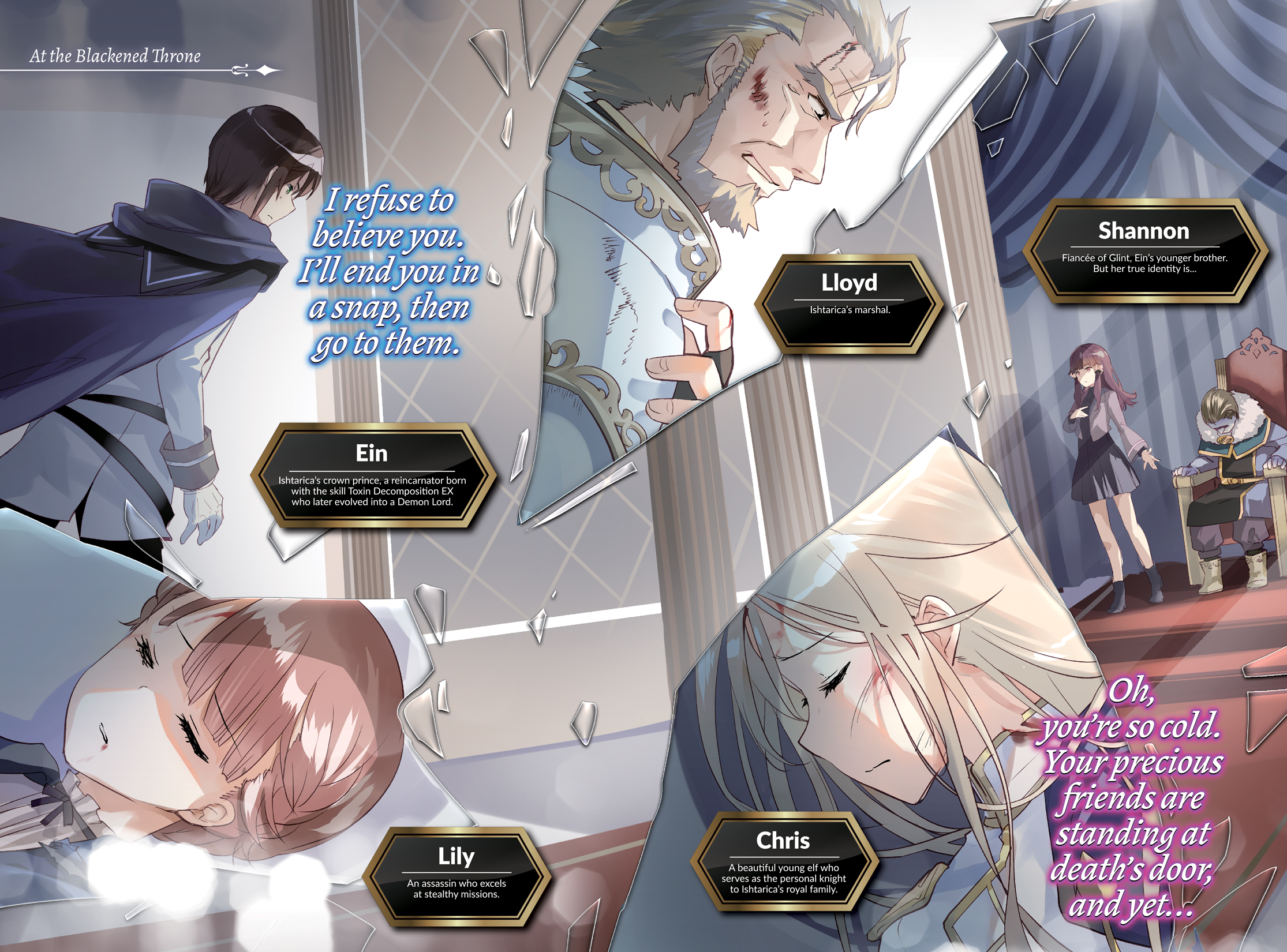 Color Illustrations - 12