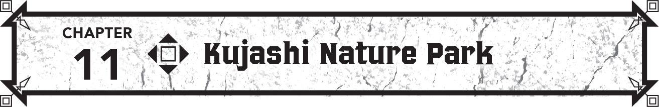 Chapter 9 Castle Garden Theater Underground Passageway - 39