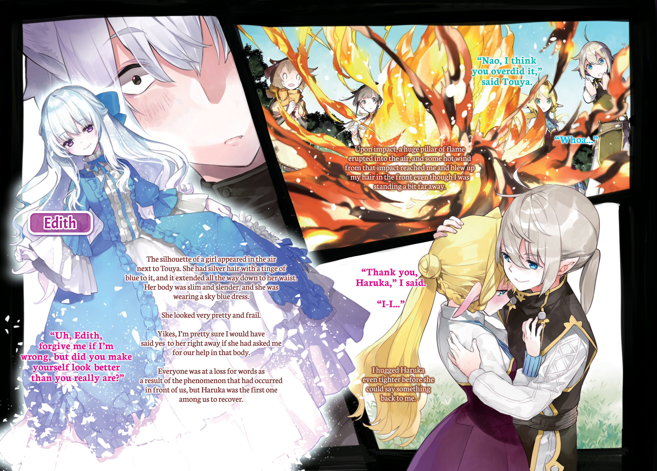 Color Illustrations - 11