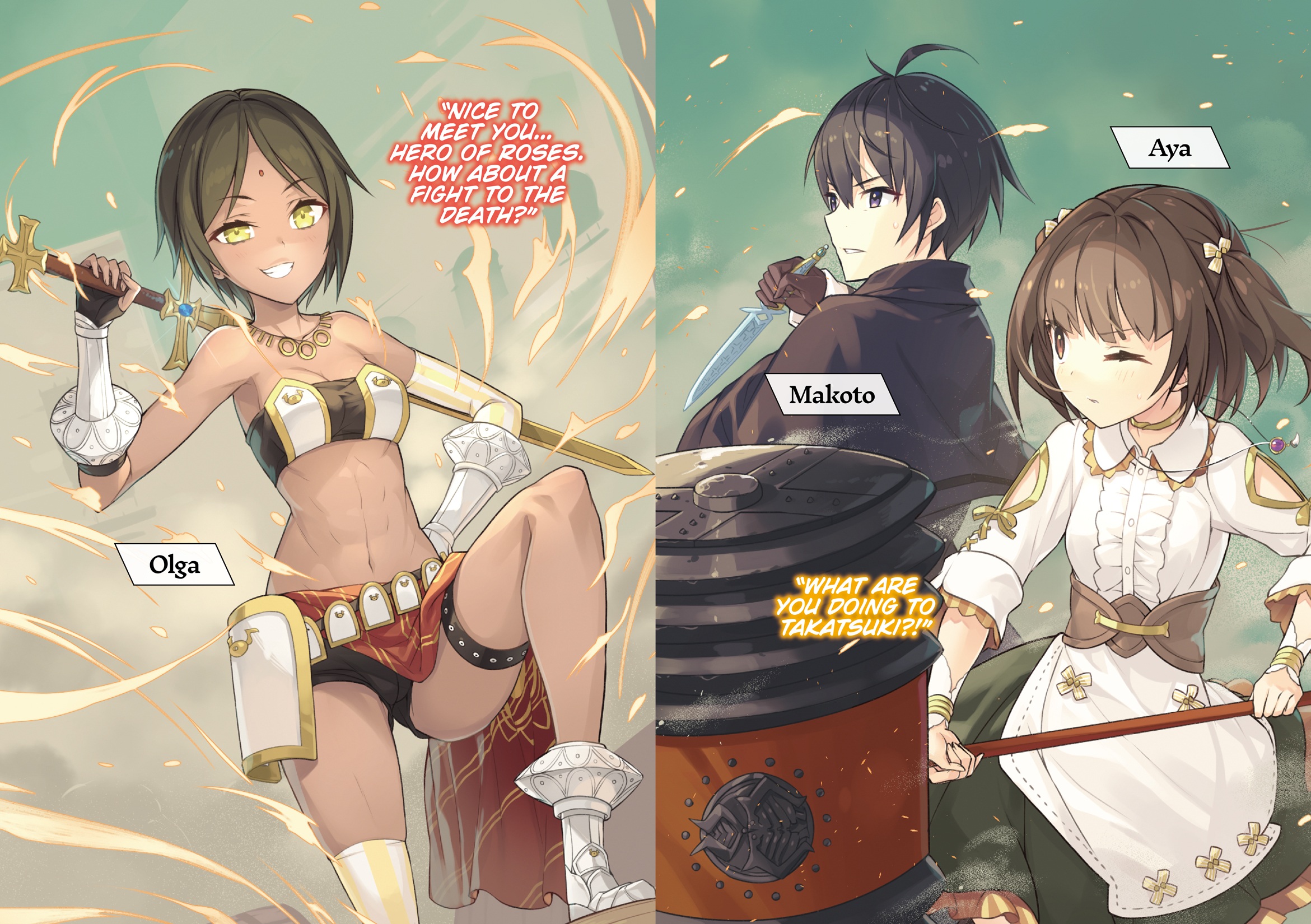 Color Illustrations - 12