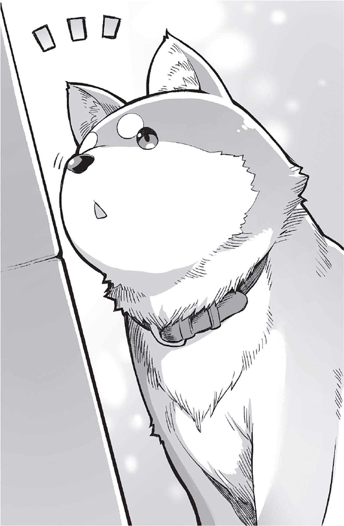 3. Concert on the Primavera - 10