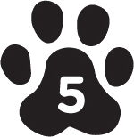 4. We Weren’t Supposed to Set Sail - 18