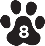 7. The Clue to Solving the Mystery - 37