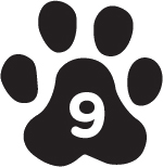 8. A Pointless Solution - 43