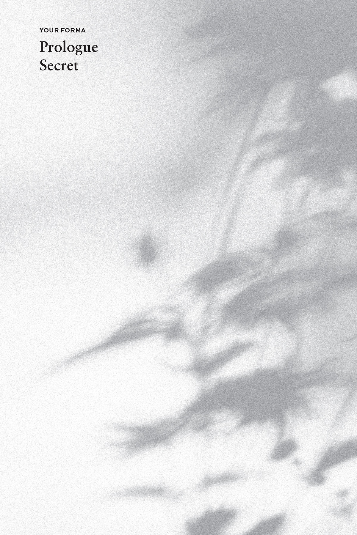 Prologue: Secret - 08