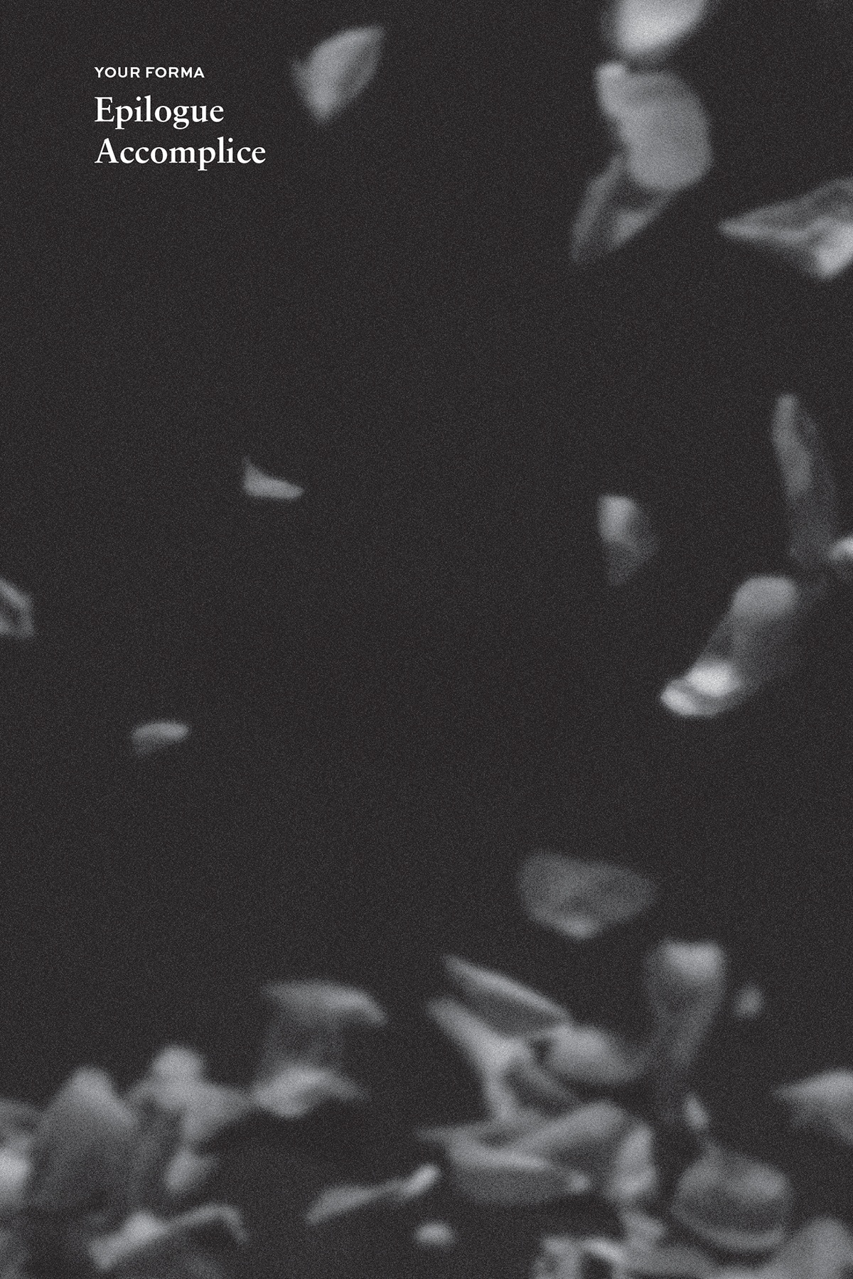 Epilogue: Accomplice - 15