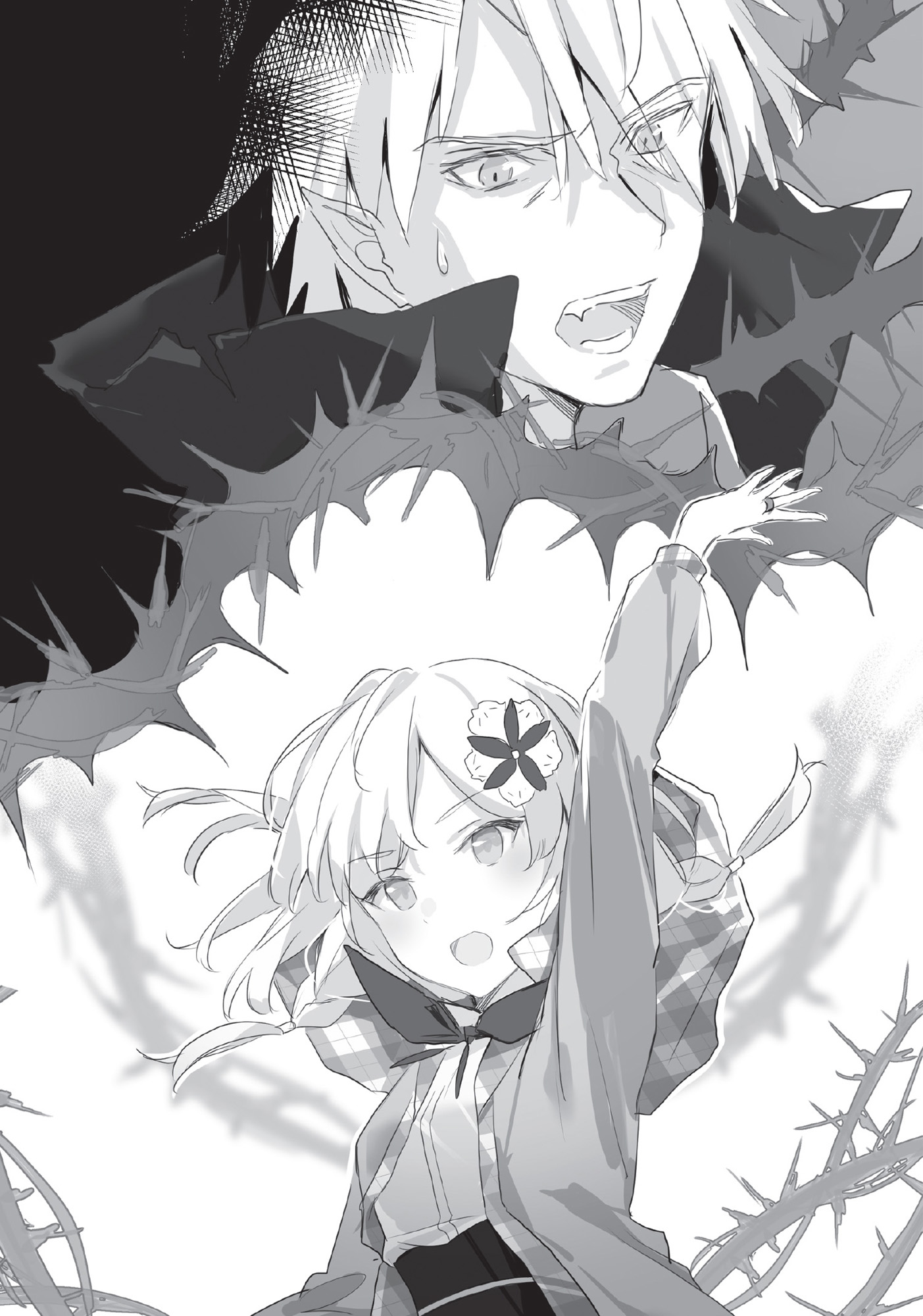 Image - 17