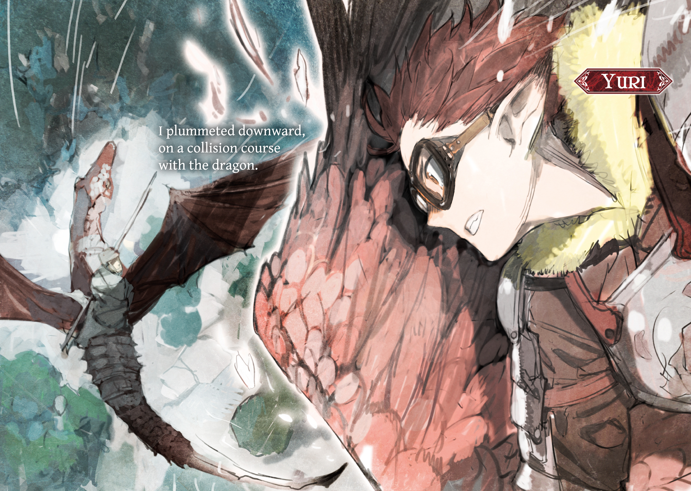 Color Illustrations - 12