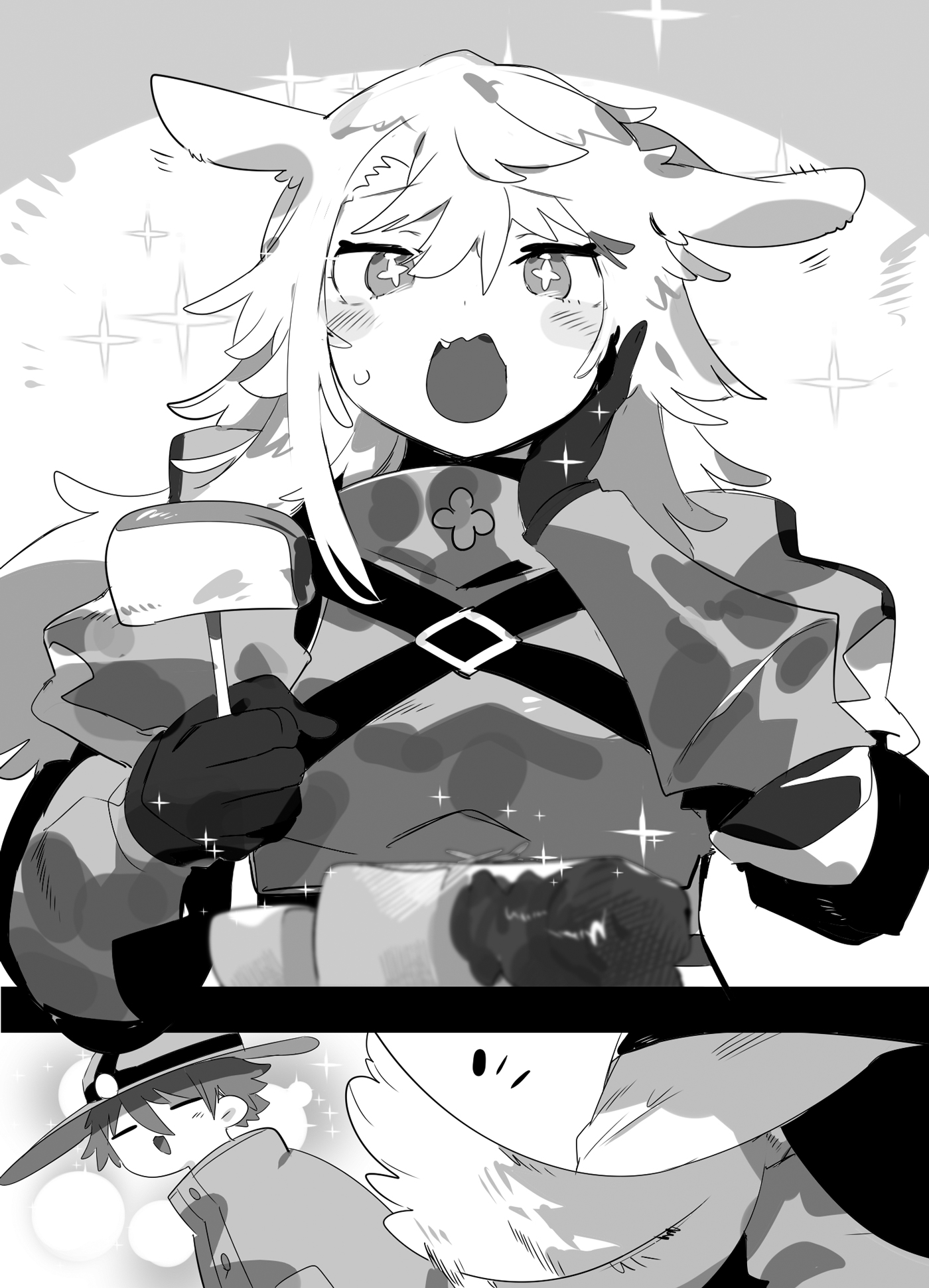 Image - 14