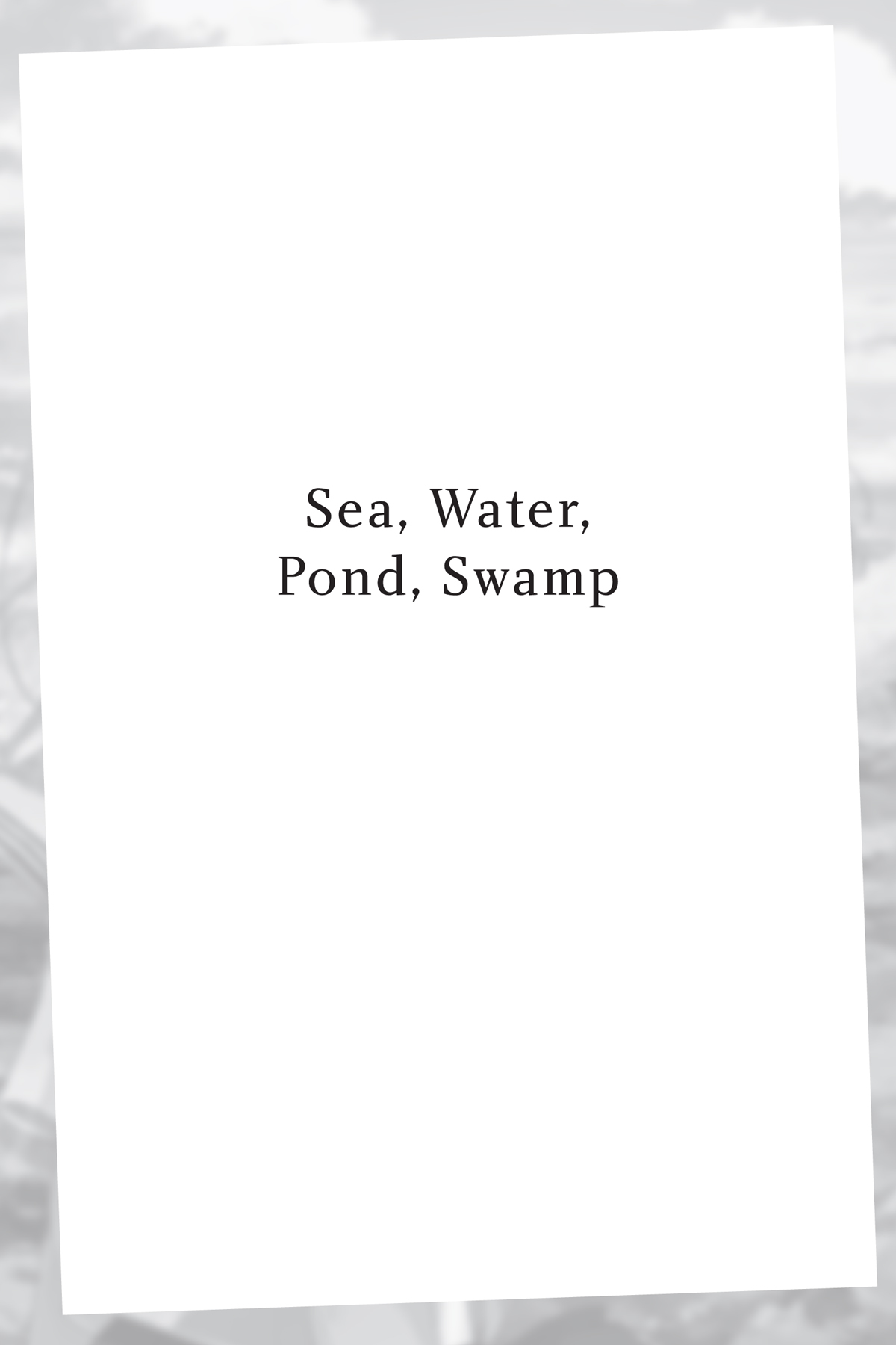Sea, Water, Pond, Swamp - 13