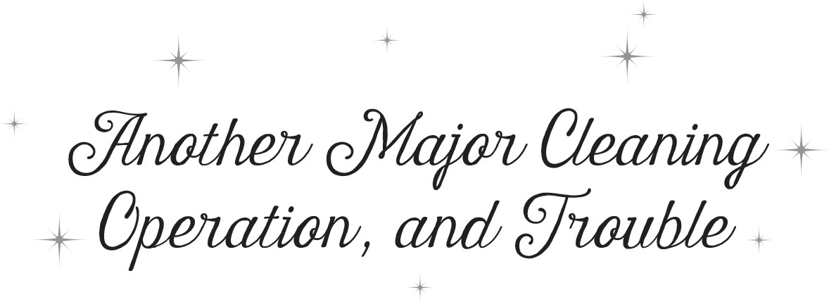 Another Major Cleaning Operation, and Trouble - 12