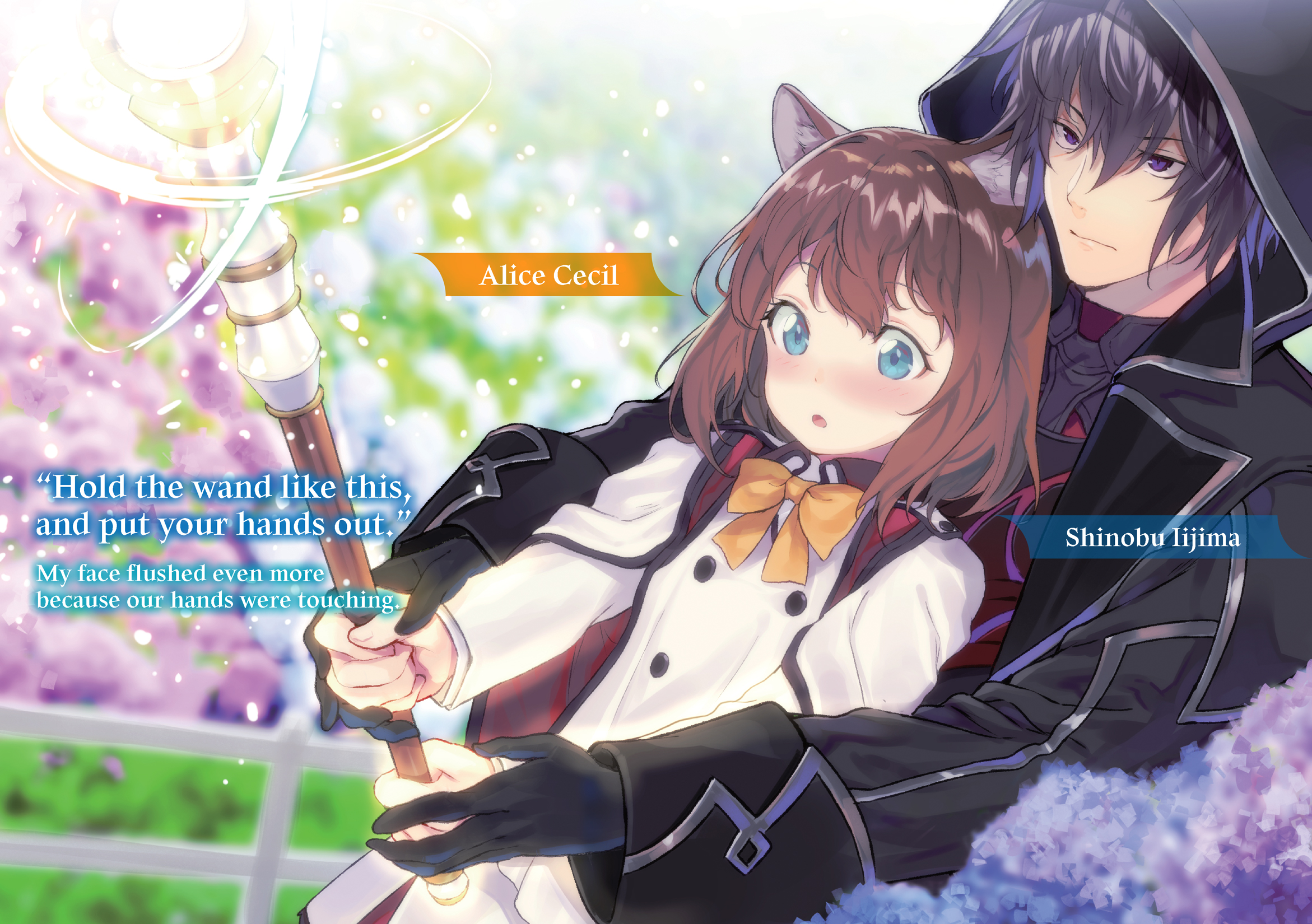 Color Illustrations - 02