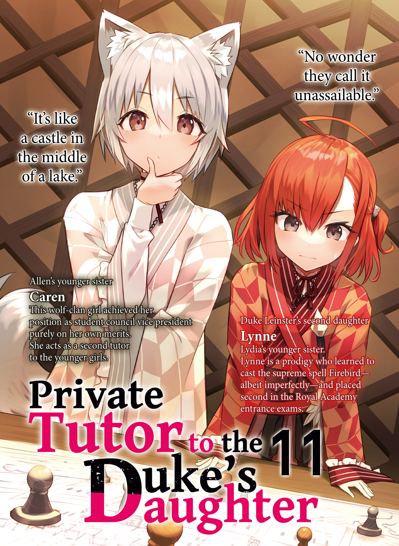 Color Illustrations - 16