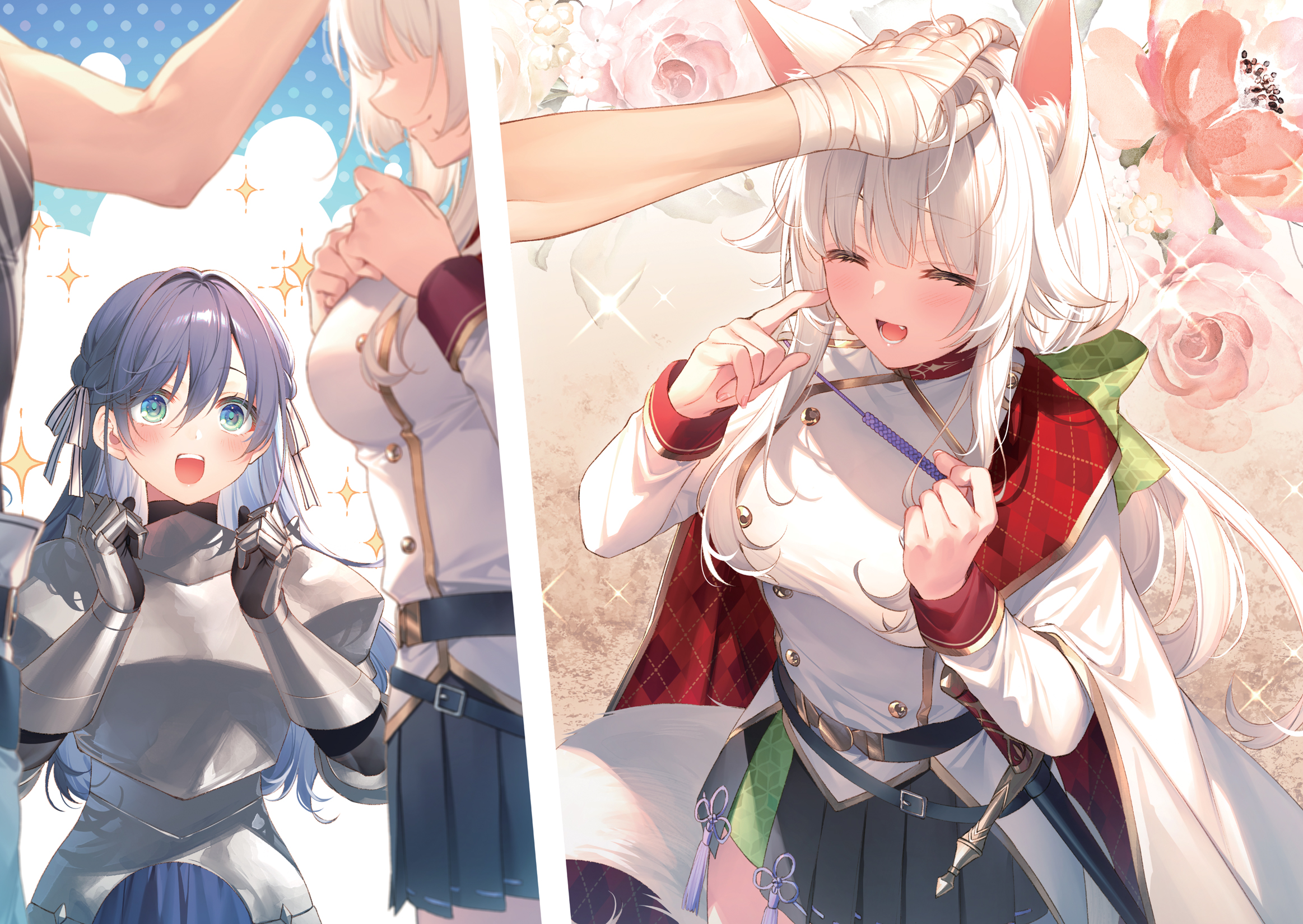 Color Illustrations - 16