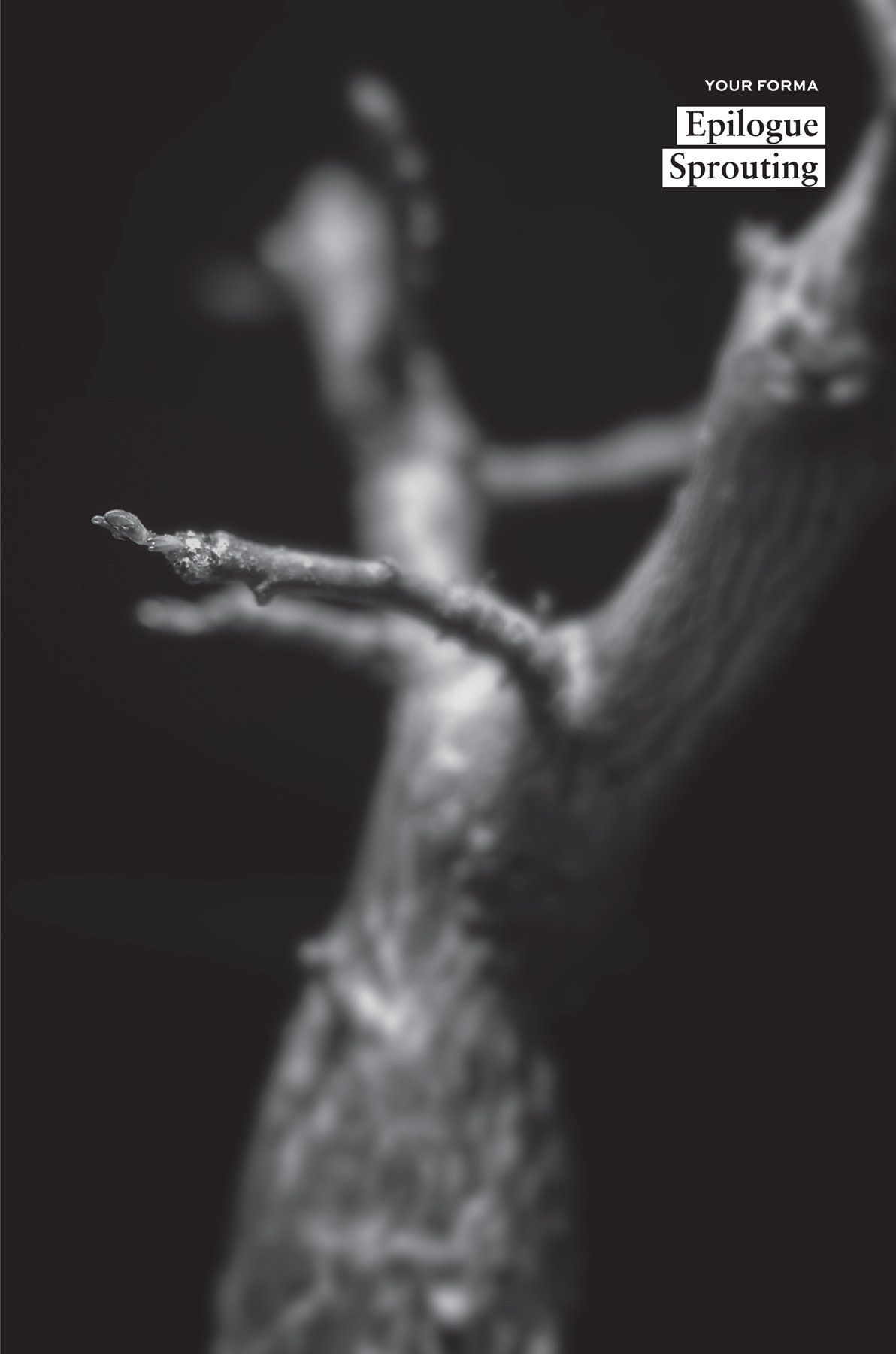 Epilogue: Sprouting - 16