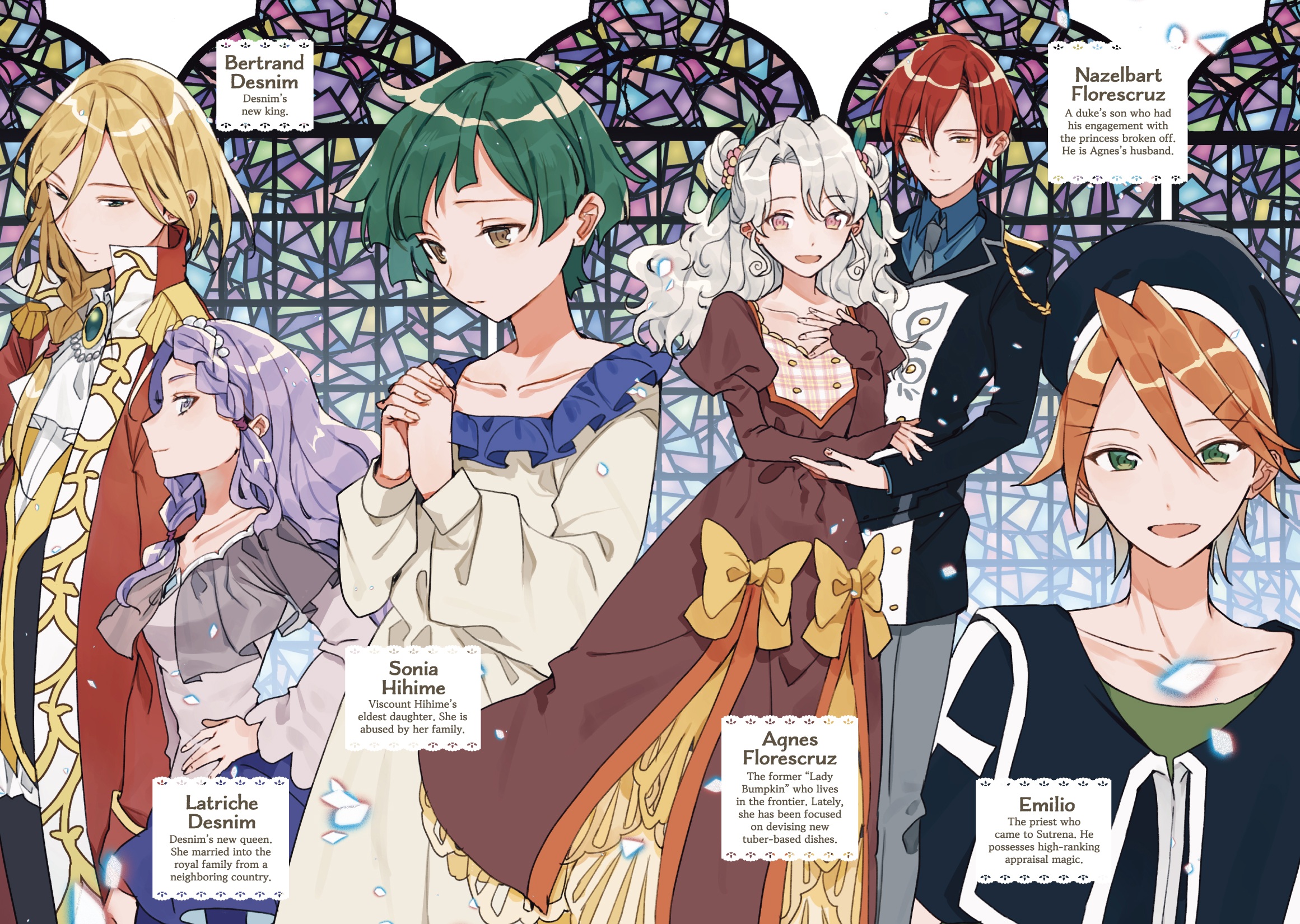 Color Illustrations - 12