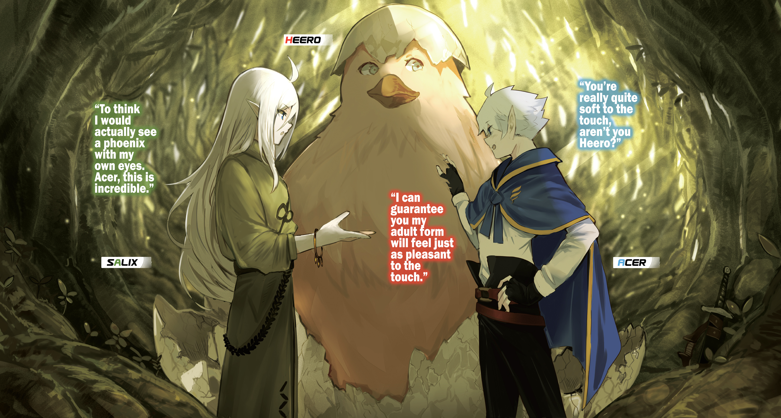 Color Illustrations - 20