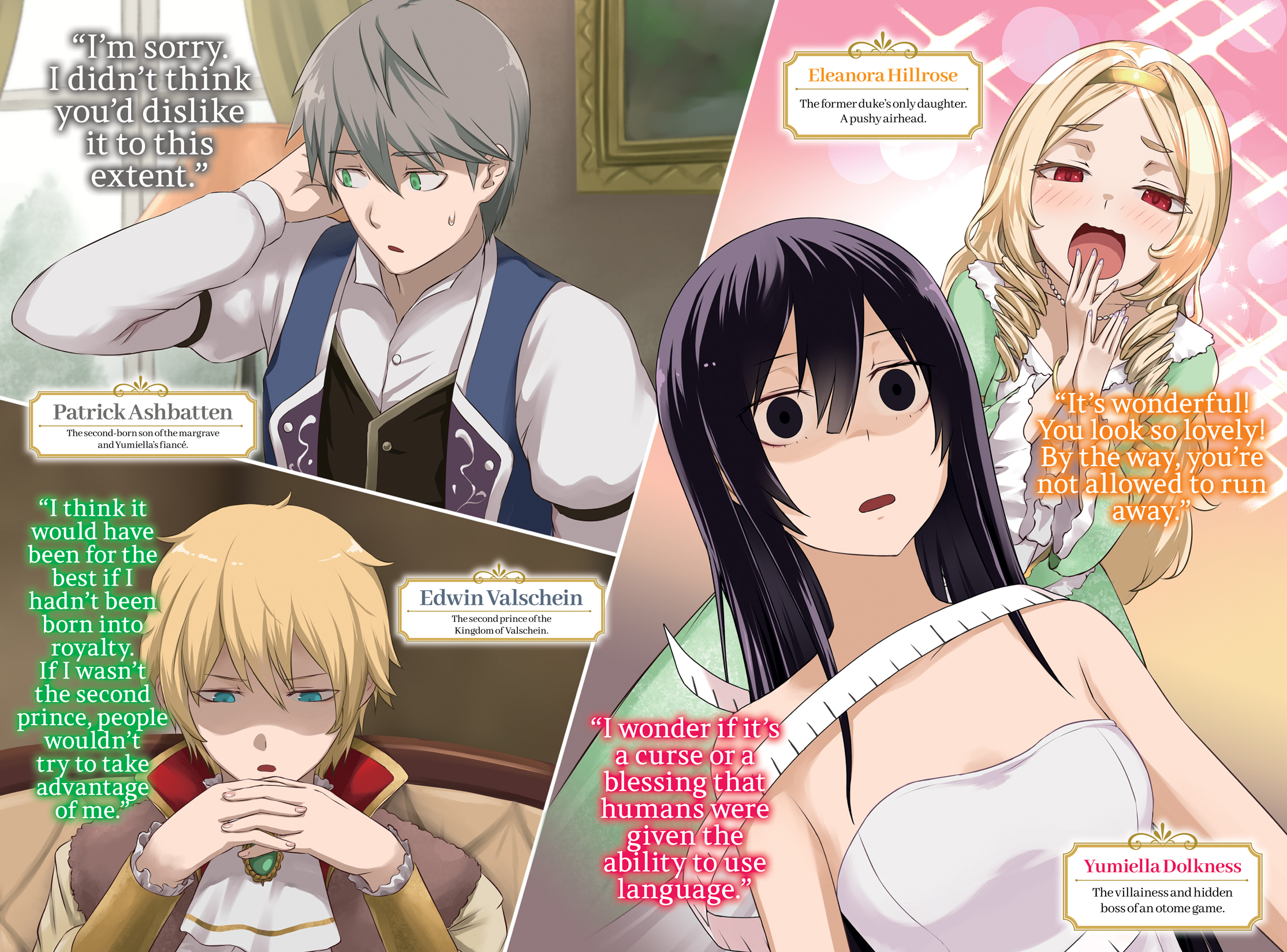 Color Illustrations - 12