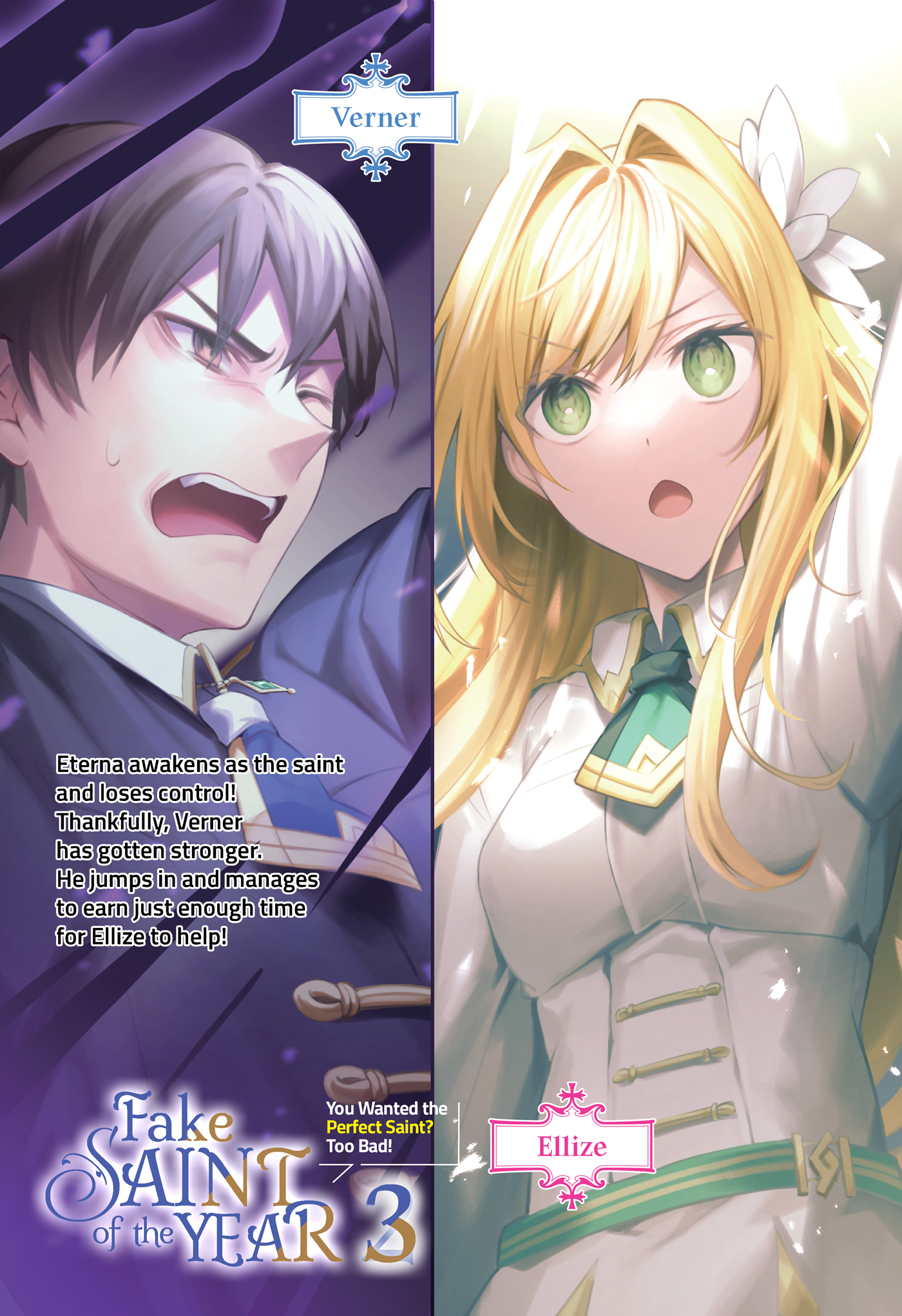 Color Illustrations - 13