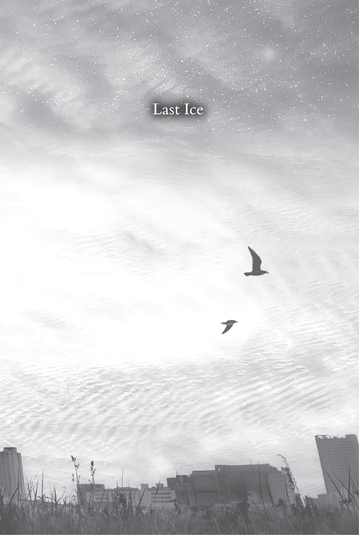 At the Center of the Light - 05