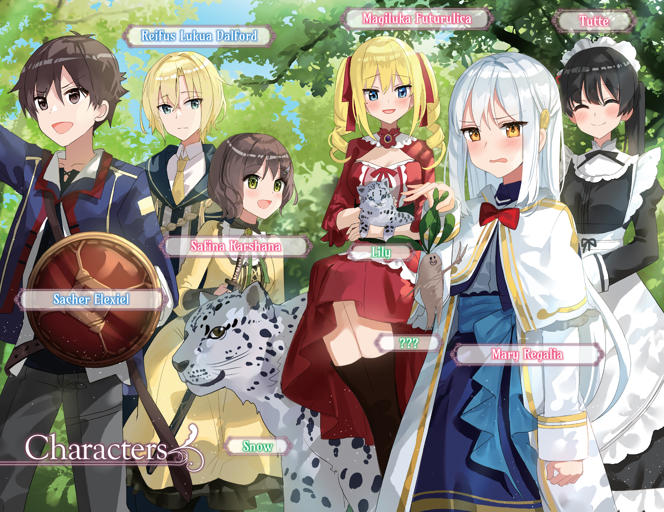 Color Illustrations - 12