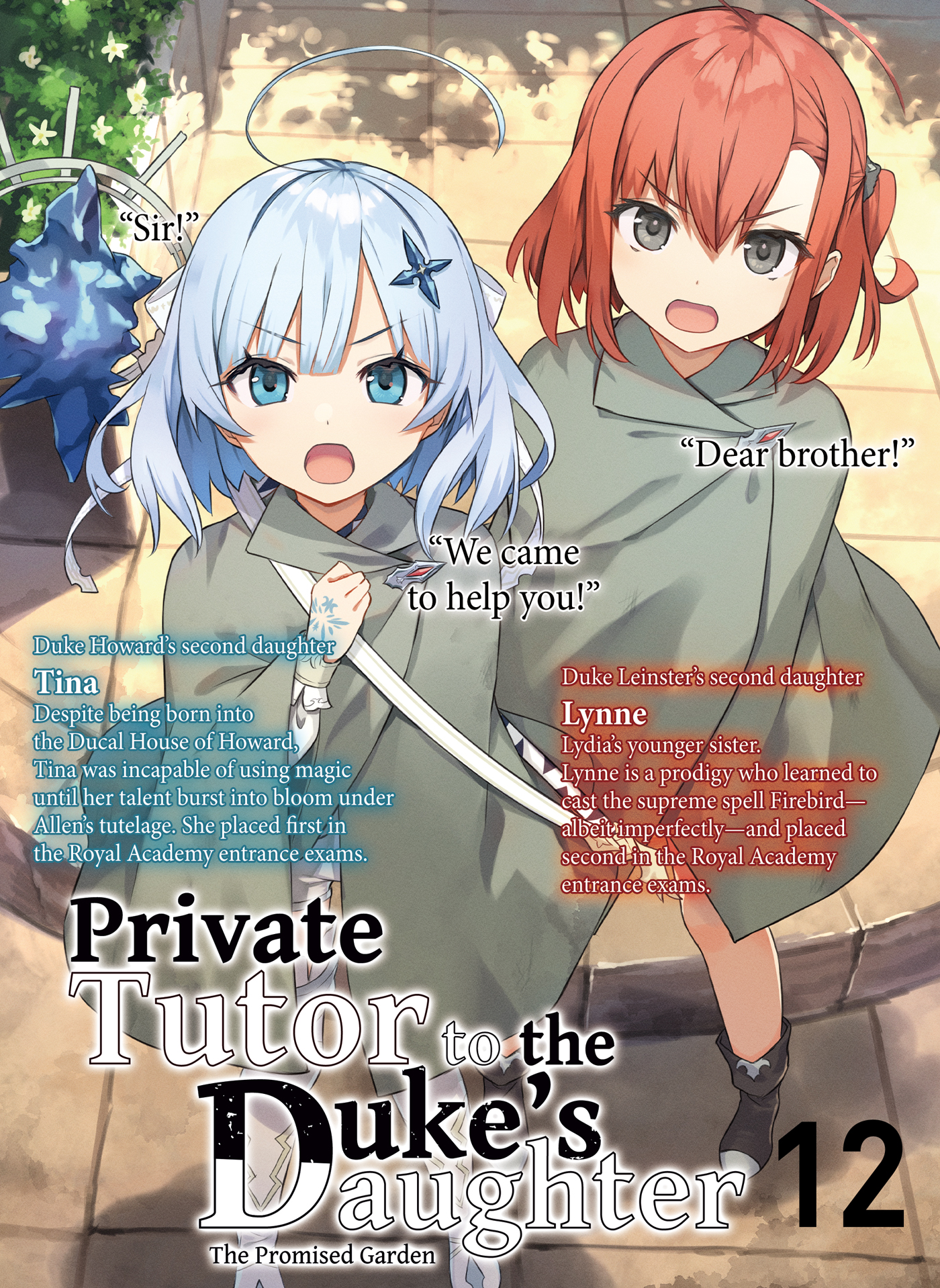 Color Illustrations - 17