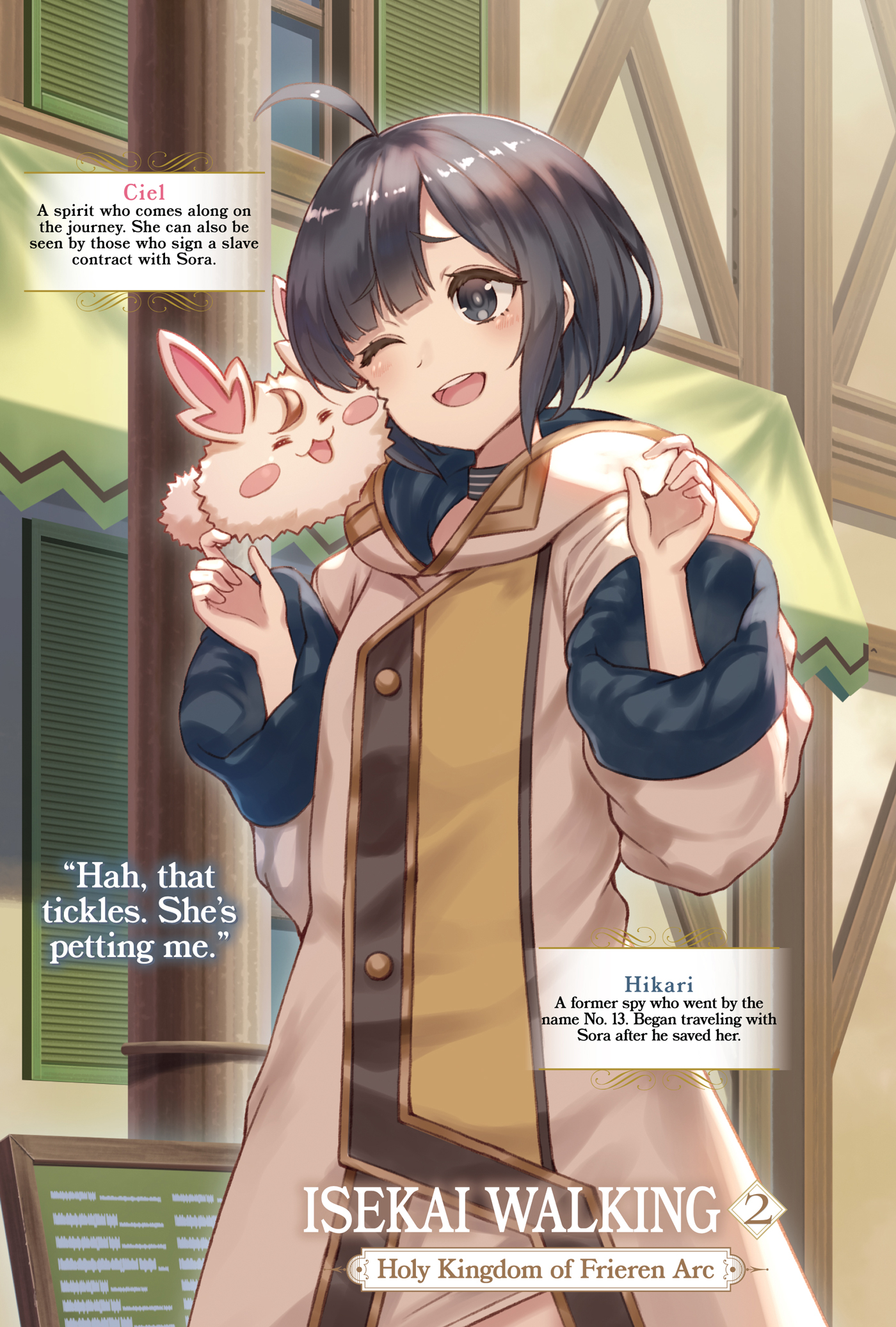 Color Illustrations - 02