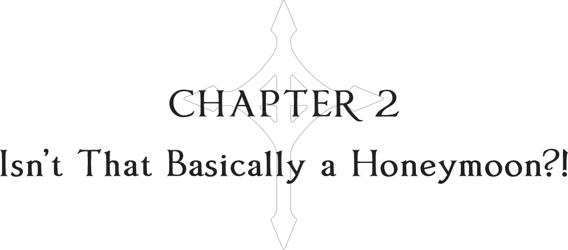Chapter 2: Isn’t That Basically a Honeymoon?! - 14