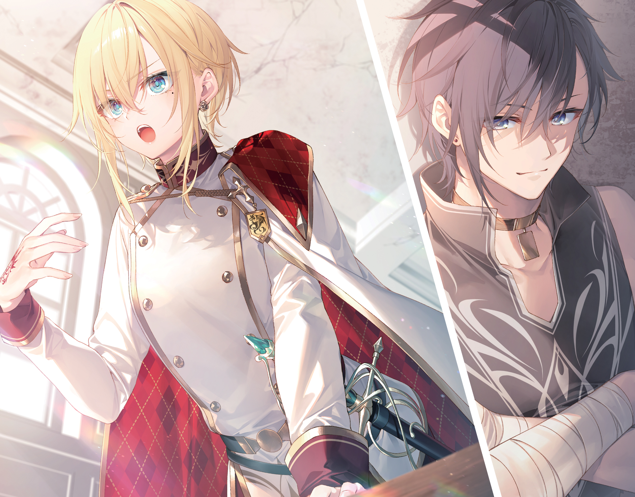 Color Illustrations - 11