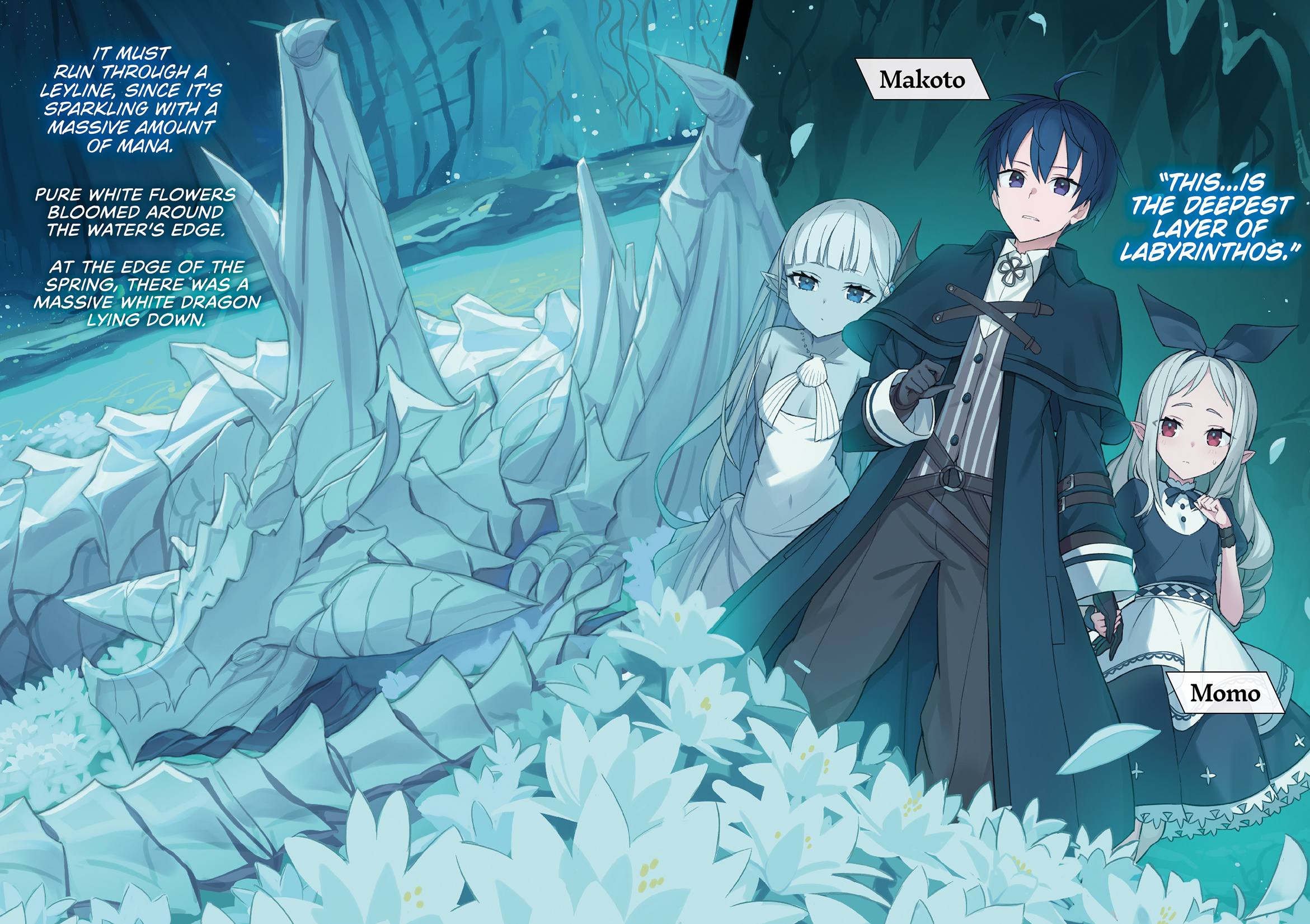 Color Illustrations - 15