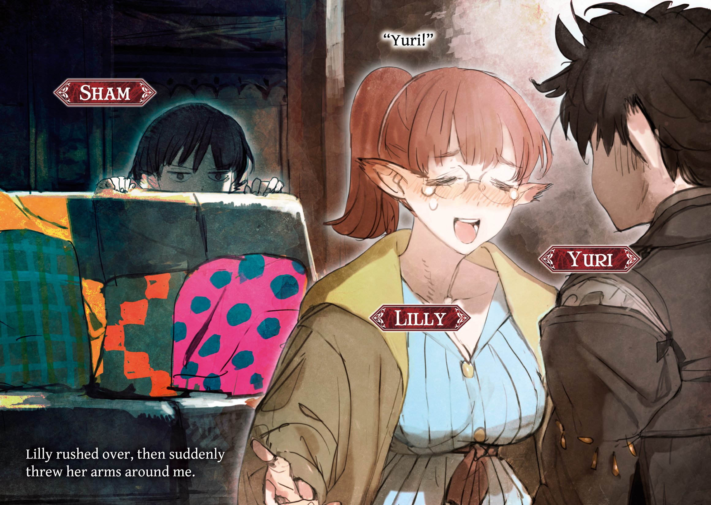 Color Illustrations - 12