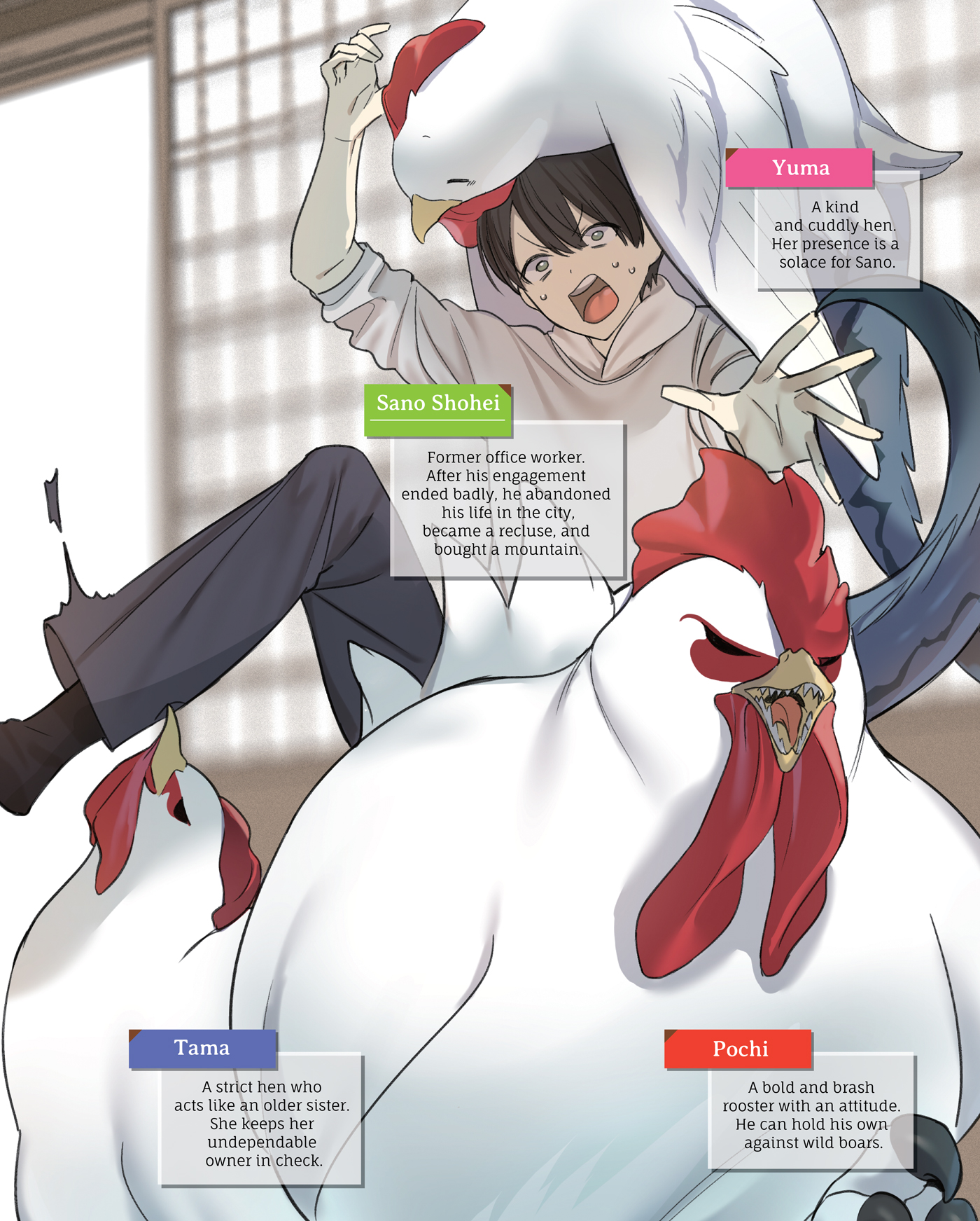 Color Illustrations - 12