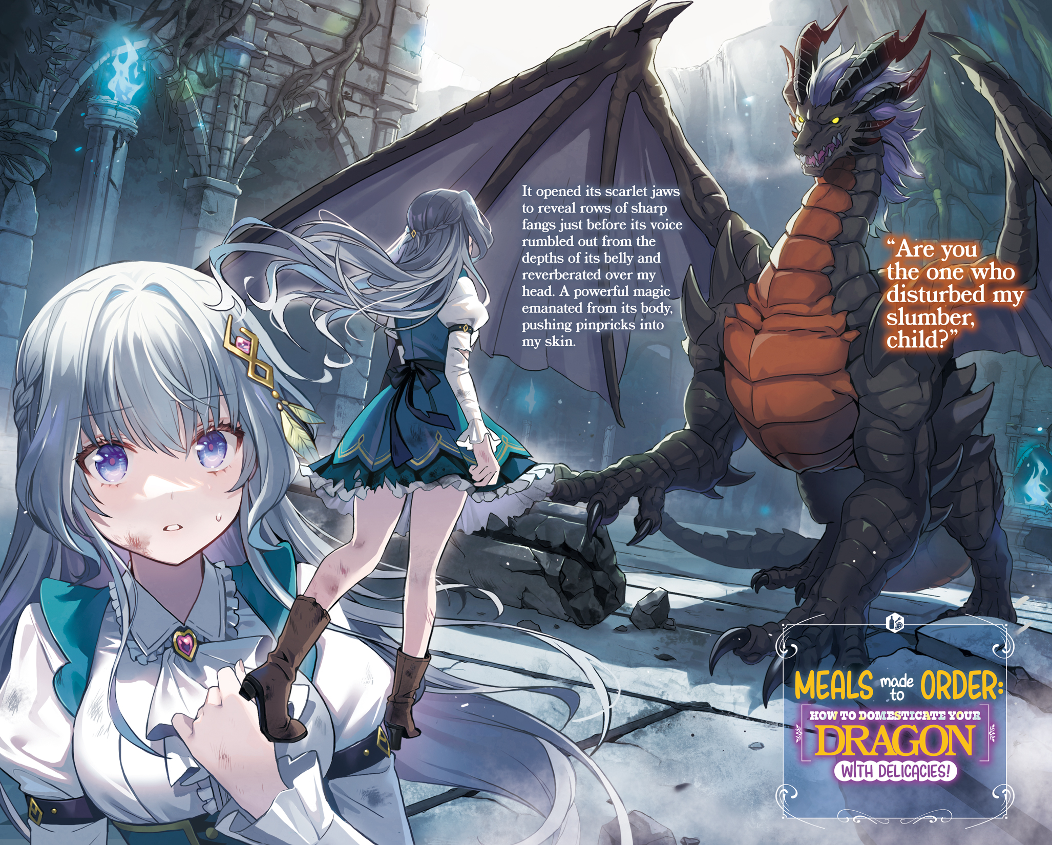 Color Illustrations - 02