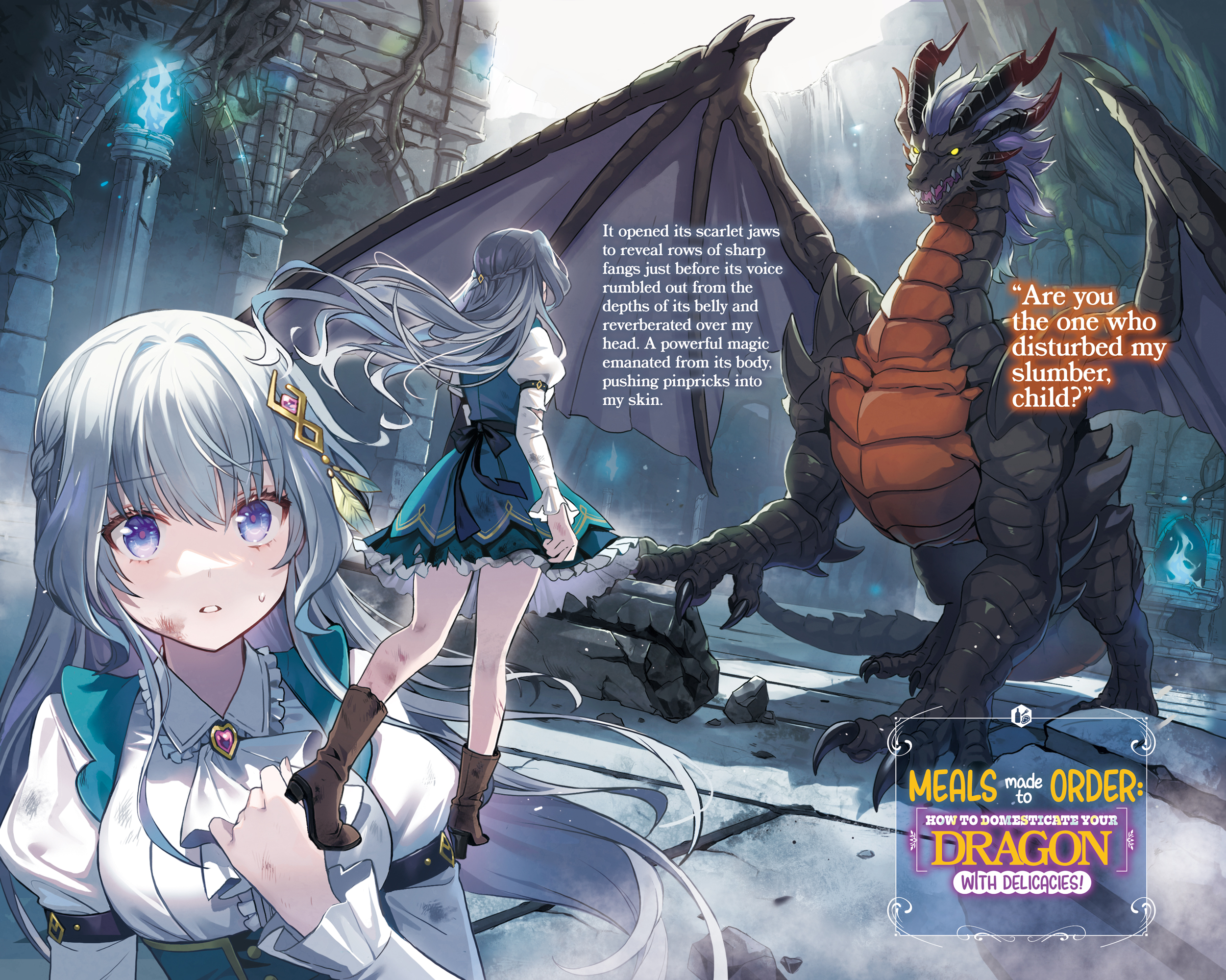 Bonus High Res Illustrations - 14