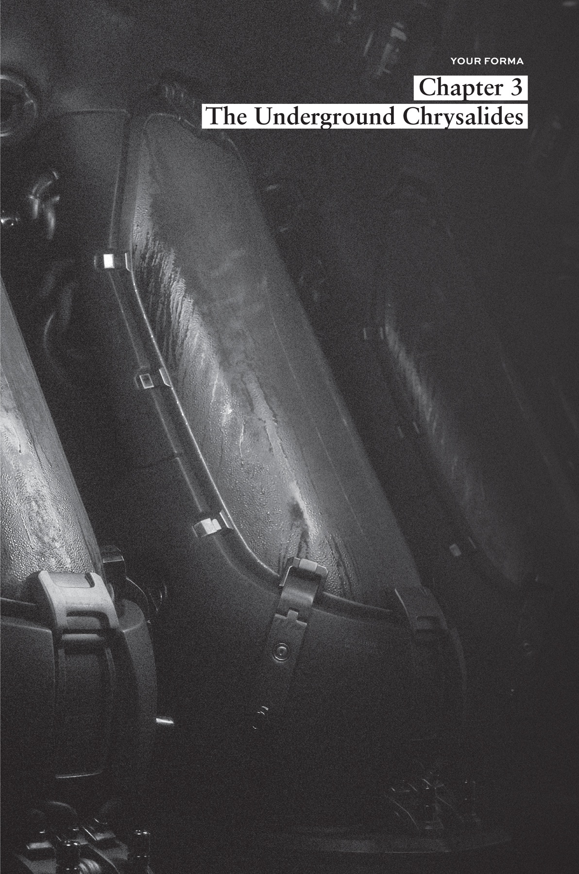 Chapter 3: The Underground Chrysalides - 19