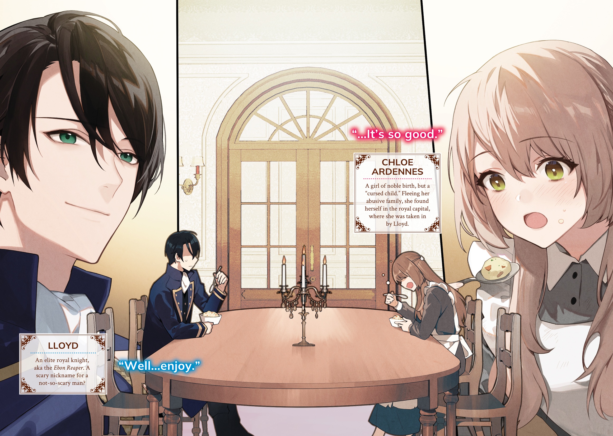 Color Illustrations - 10