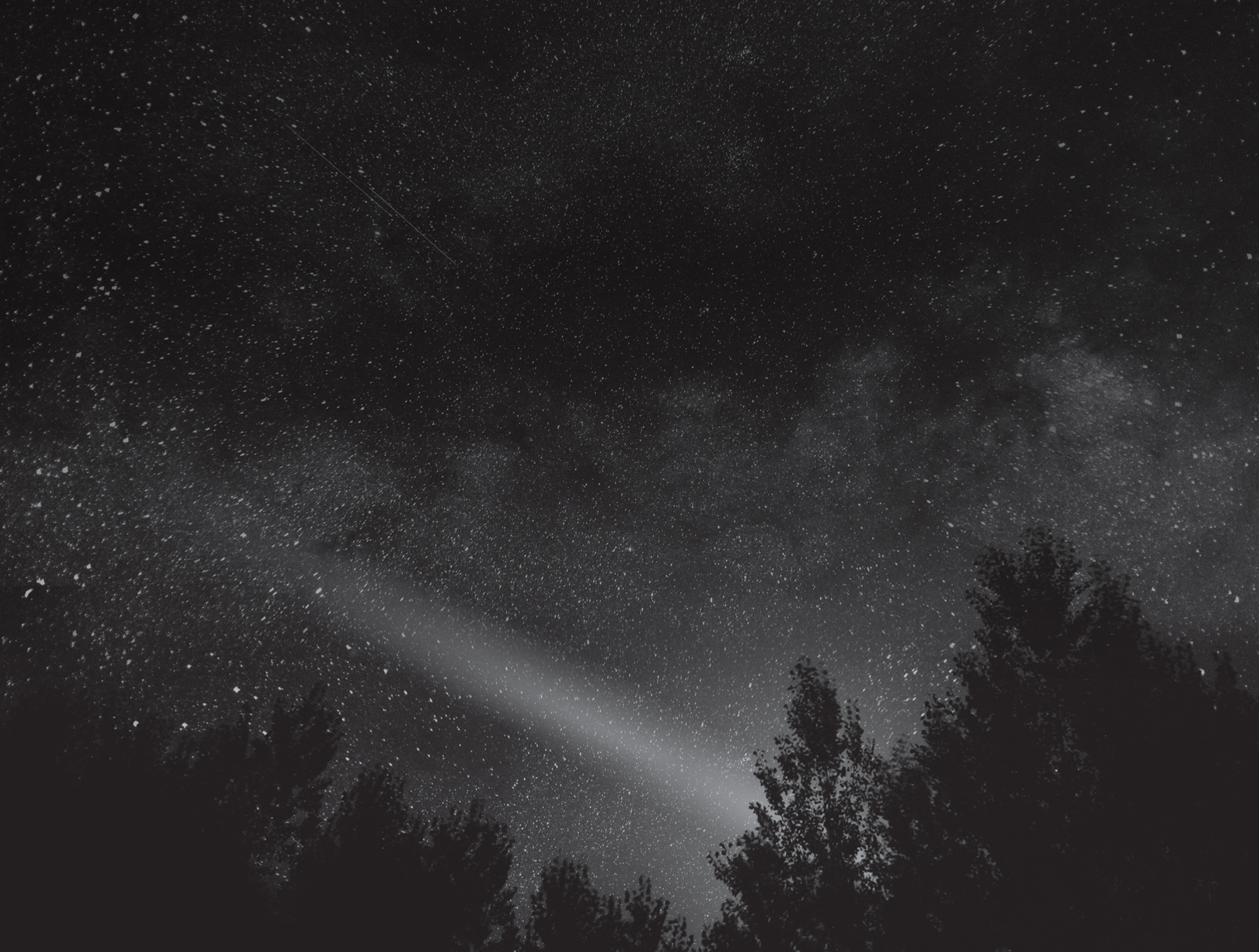 Chapter 1. The Custodian of Dawn—Yuzuru Fugeki - 07