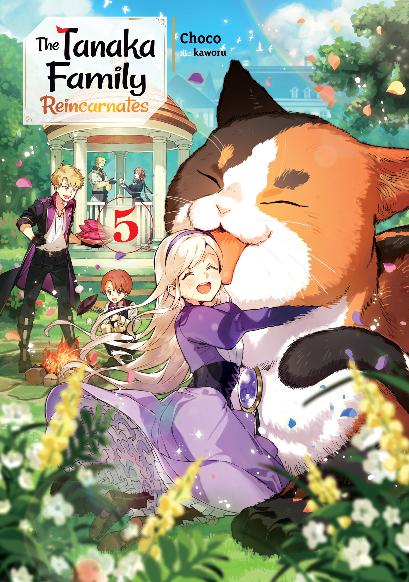 Color Illustrations - 12