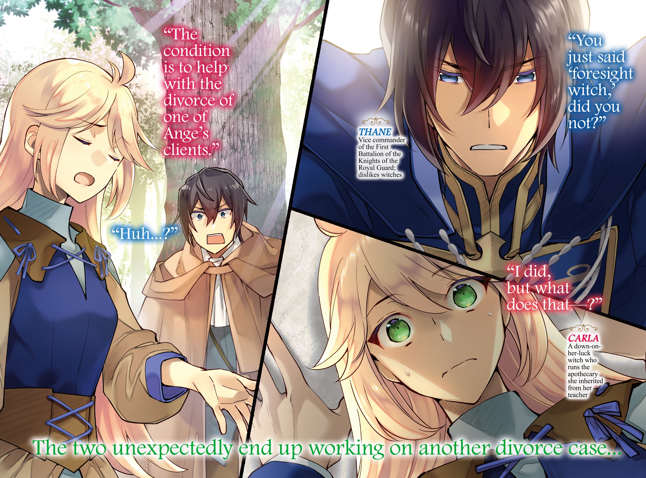 Color Illustrations - 10